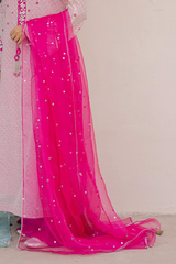 Bliss Pink Organza Dupatta