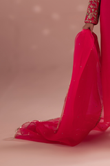 Nova Organza Dupatta with Embellishment