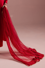 Callisto Net Dupatta with Kaamdani