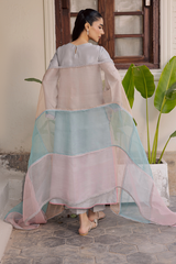 Reverly Organza Dupatta